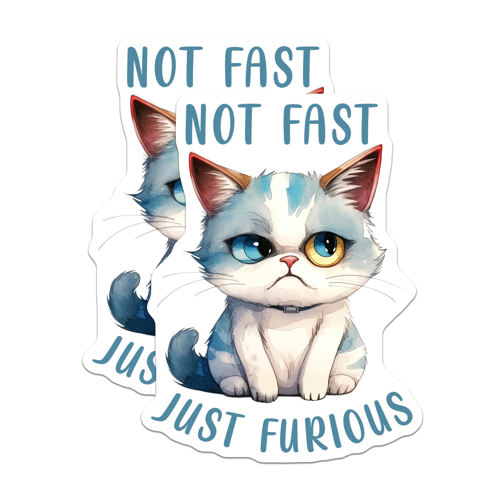 (2 Pack) Funny Cat Magnets - Not Fast Just Furious - Grumpy Kitten Refrigerator Magnets - 5" On Longest Side - Premium Magnet - for Cars, Refrigerators, Toolboxes, Lockers - Made in USA - MAG14377