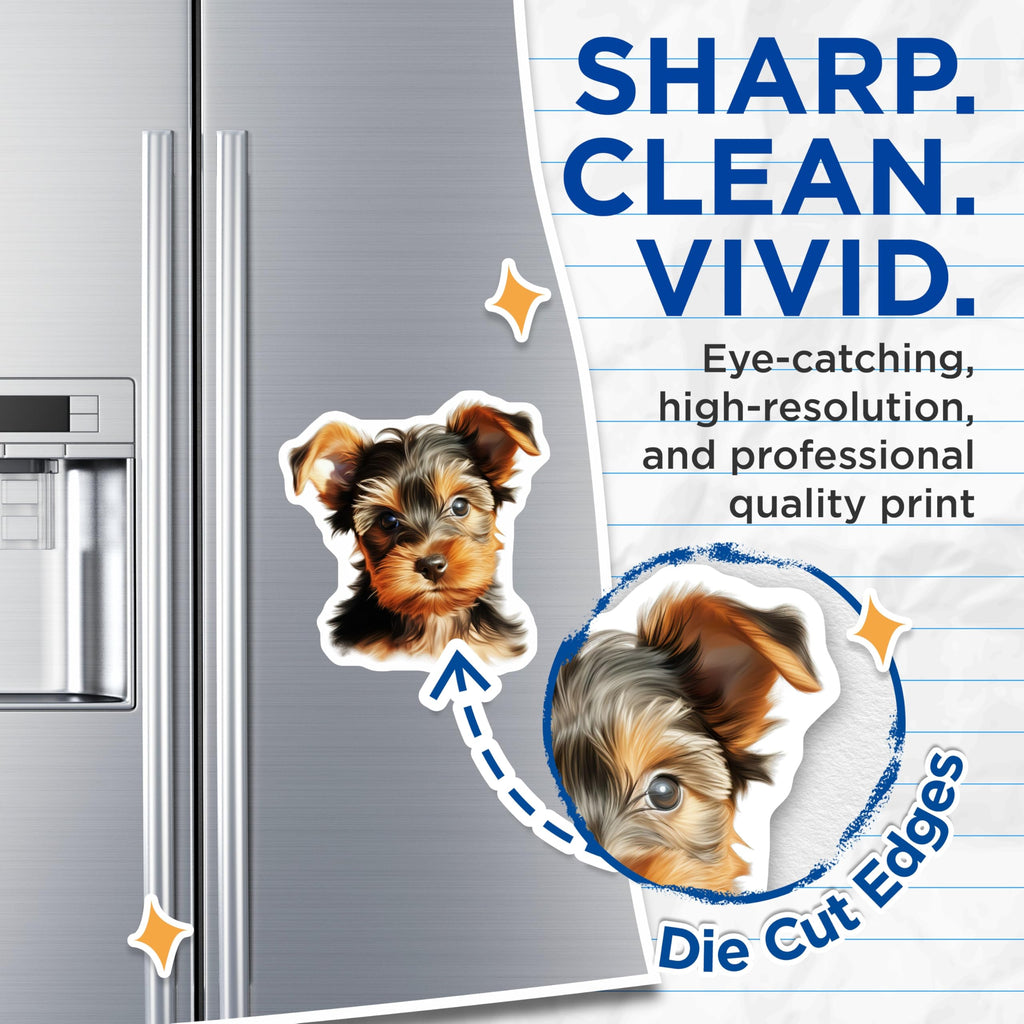 (2 Pack) Yorkie Puppy Magnets - Cute Yorkshire Terrier Dog - Pet Lover Fridge Decor for Dog Moms - 5 Inches On Longest Side - Thick Durable Magnet - Made in USA - MAG30693