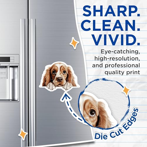 (2 Pack) Pet Lover Decor Magnet - Brown Puppy Illustration - 5" On Longest Side - Sticks to Smooth Flat Surfaces - Made in USA - MAG9820
