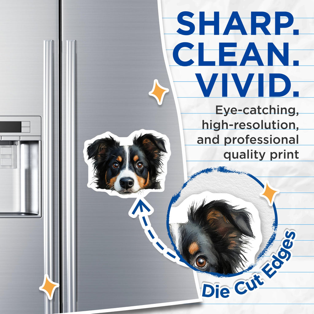(2 Pack) Bernese Mountain Dog Magnets - Dog Lover Decor - Pet Refrigerator Decoration - 5" On Longest Side - Premium Magnet - for Cars, Refrigerators, Toolboxes, Lockers - Made in USA - MAG14351