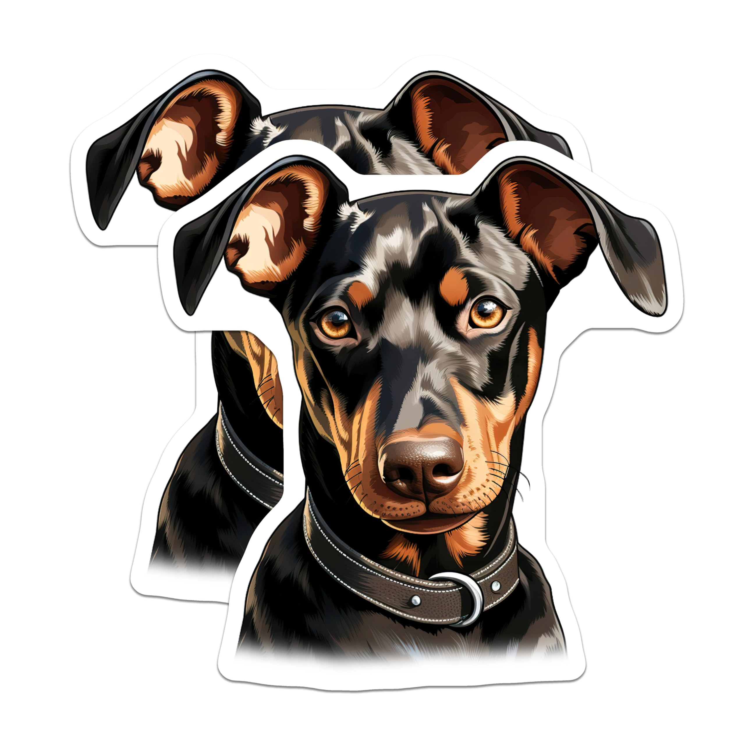 (2 Pack) Doberman Pinscher Dog Magnets - Realistic Pet Portrait - Dog Owner Home Decor - 5 Inches On Longest Side - Thick Durable Magnet - Made in USA - MAG28067