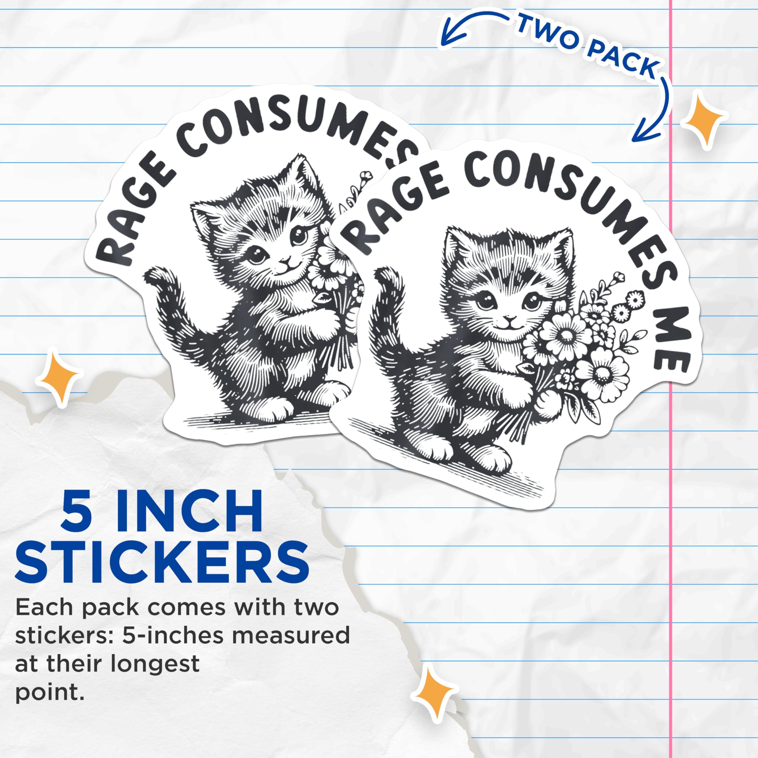 (2 Pack) Rage Consumes Me Stickers - Cute Cat Stickers - Funny Animal Stickers - 5" On Longest Side - Sticks to Any Smooth Flat Surface - Made in USA - BMCS3550