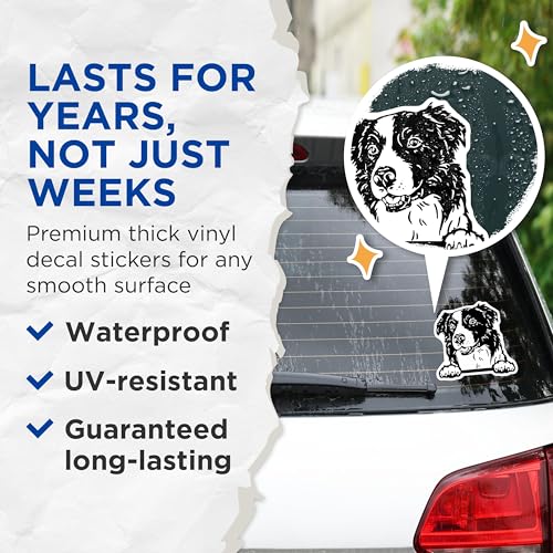 (2 Pack) Border Collie Dog Stickers - Cute Pet Lover Decal - Animal Art Decor - 5" On Longest Side - Sticks to Smooth Flat Surfaces - Made in USA - BMCS4046