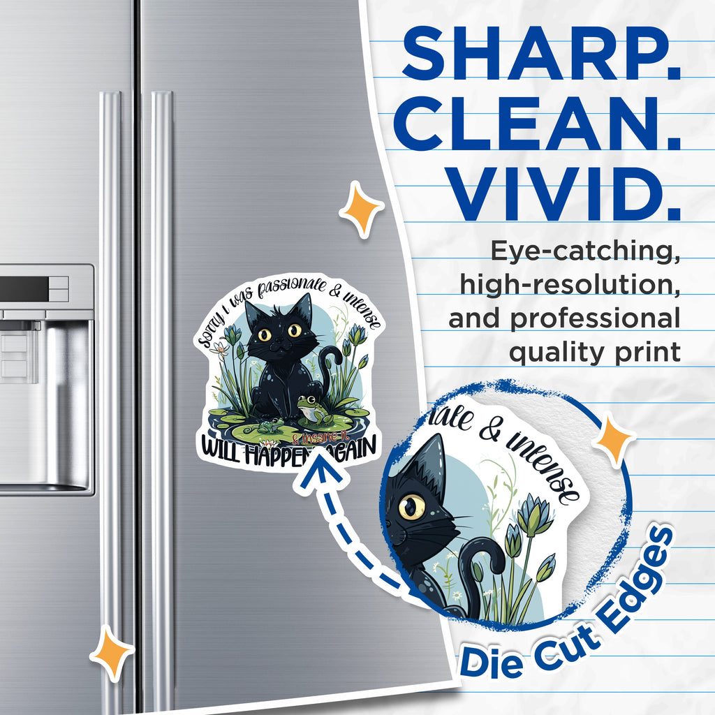 (2 Pack) Funny Black Cat Magnets - Sassy Feline Refrigerator Accent - Quirky Animal Quote Locker Decor - 5 Inches On Longest Side - Thick Durable Magnet - Made in USA - MAG39108