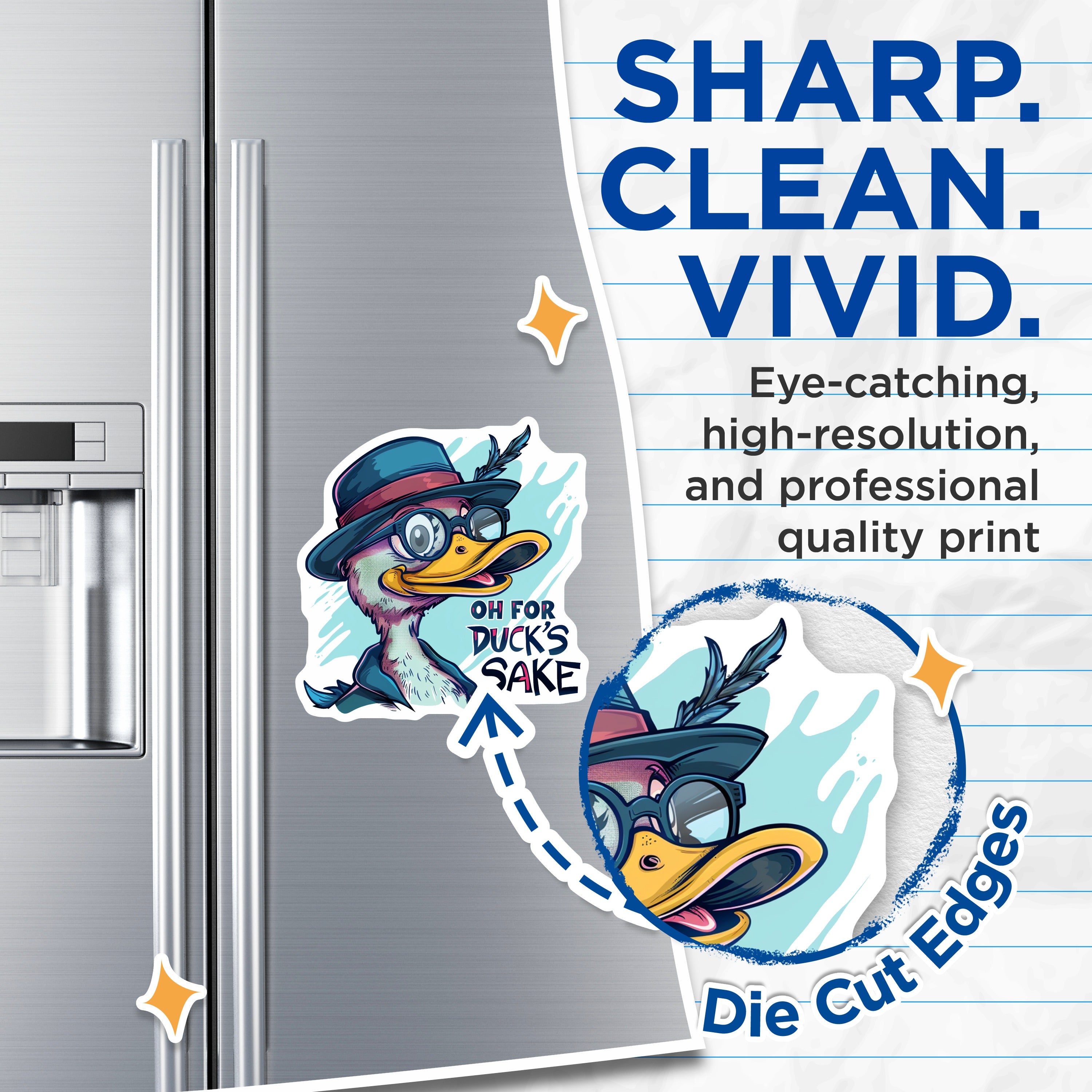 (2 Pack) Oh for Duck's Sake Magnets - Funny Sarcastic Duck - Quirky Animal Pun Decor - 5 Inches On Longest Side - Thick Durable Magnet - Made in USA - MAG37470