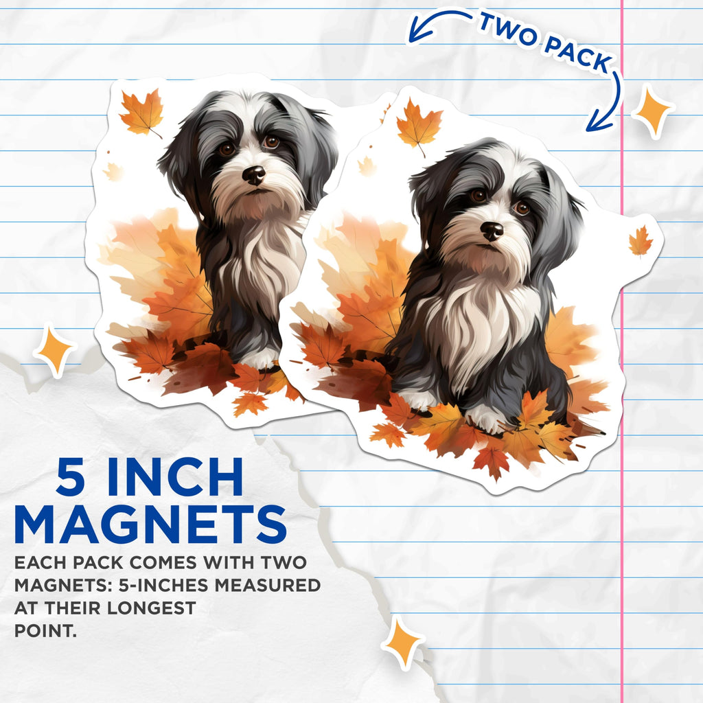 (2 Pack) Havanese Dog Magnets - Cute Fluffy Pet Art - Autumn Leaves Fridge Decor for Dog Lovers - 5 Inches On Longest Side - Thick Durable Magnet - Made in USA - MAG30873