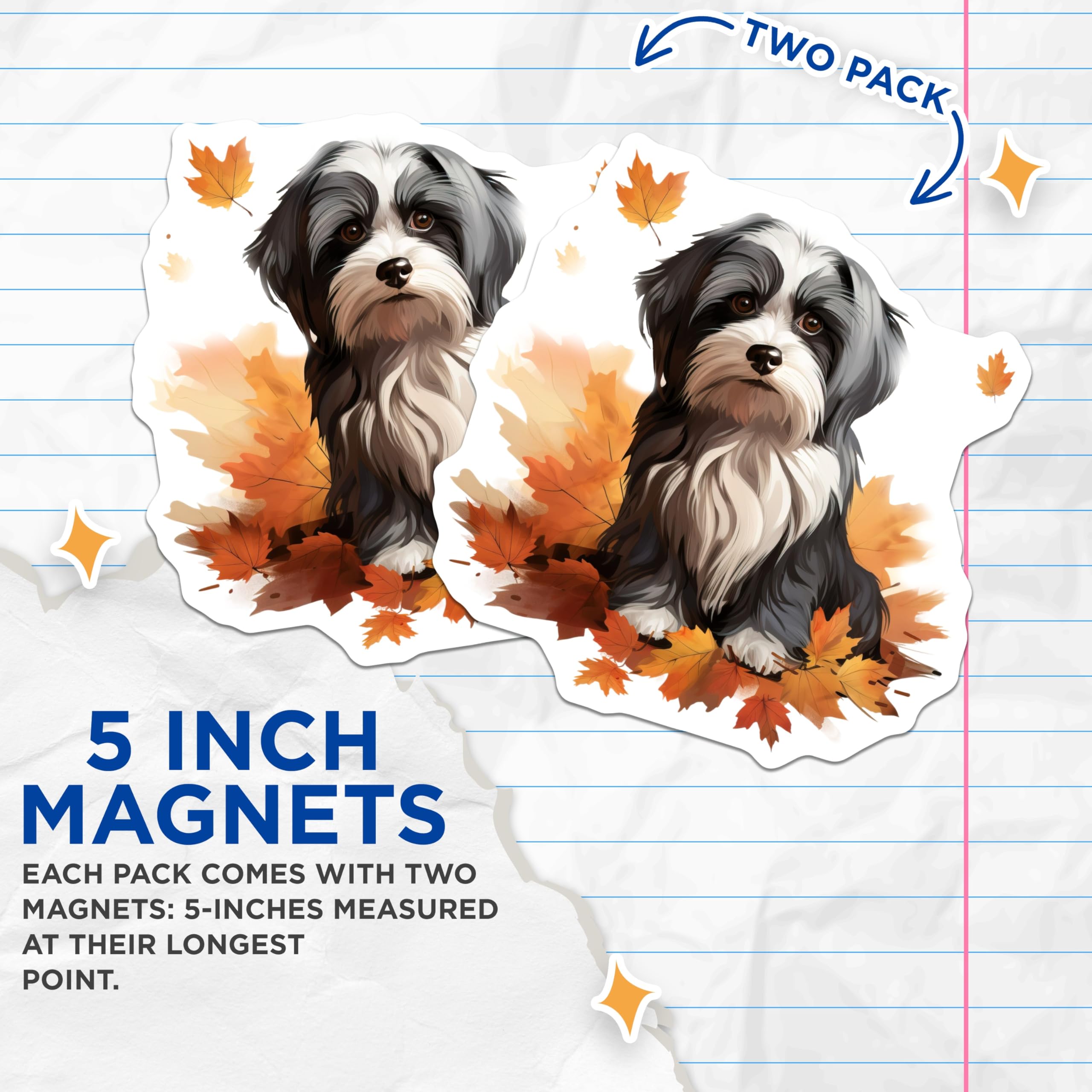 (2 Pack) Havanese Dog Magnets - Cute Fluffy Pet Art - Autumn Leaves Fridge Decor for Dog Lovers - 5 Inches On Longest Side - Thick Durable Magnet - Made in USA - MAG30873