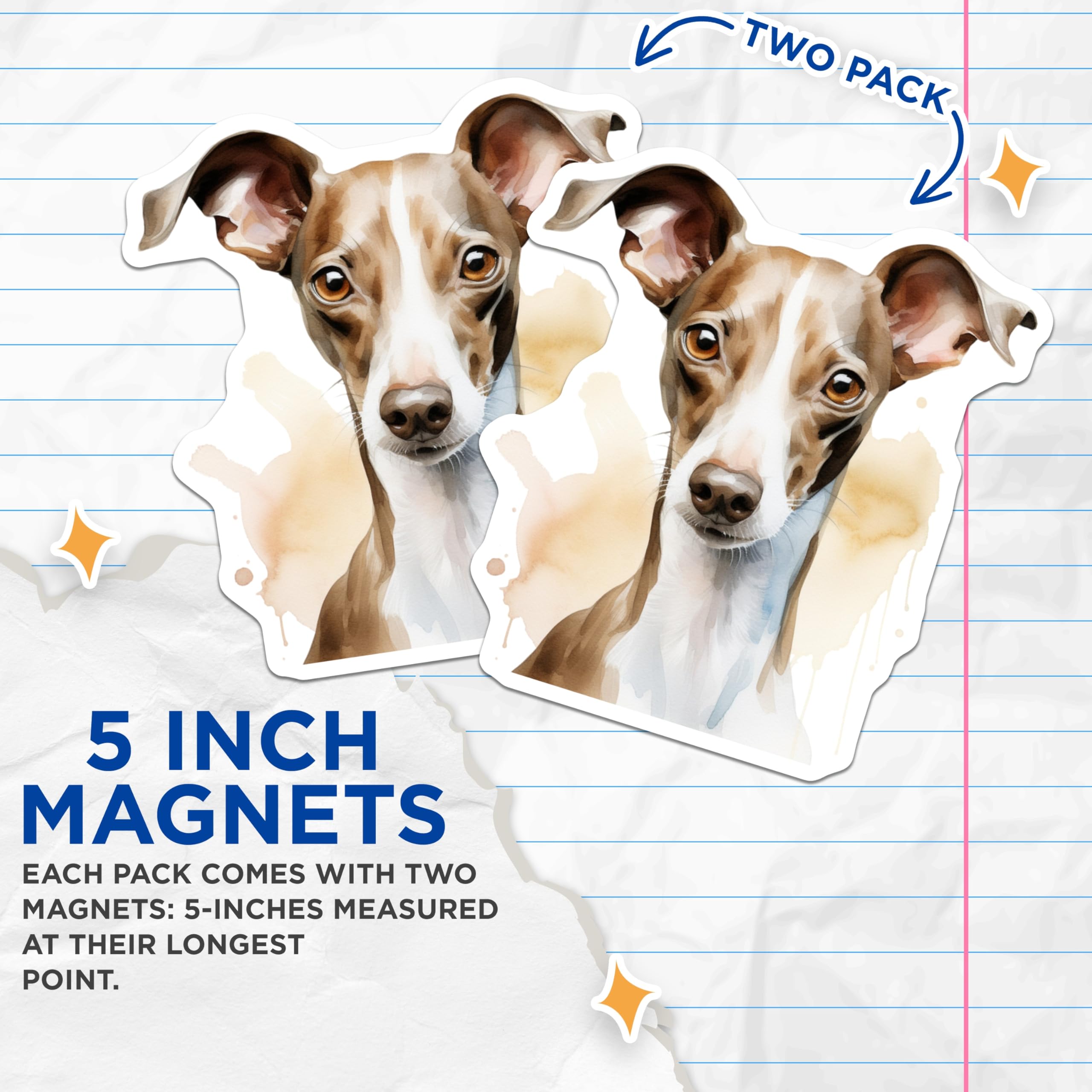 (2 Pack) Italian Greyhound Magnets - Watercolor Pet Portrait - Dog Breed Refrigerator Art - 5 Inches On Longest Side - Thick Durable Magnet - Made in USA - MAG28362