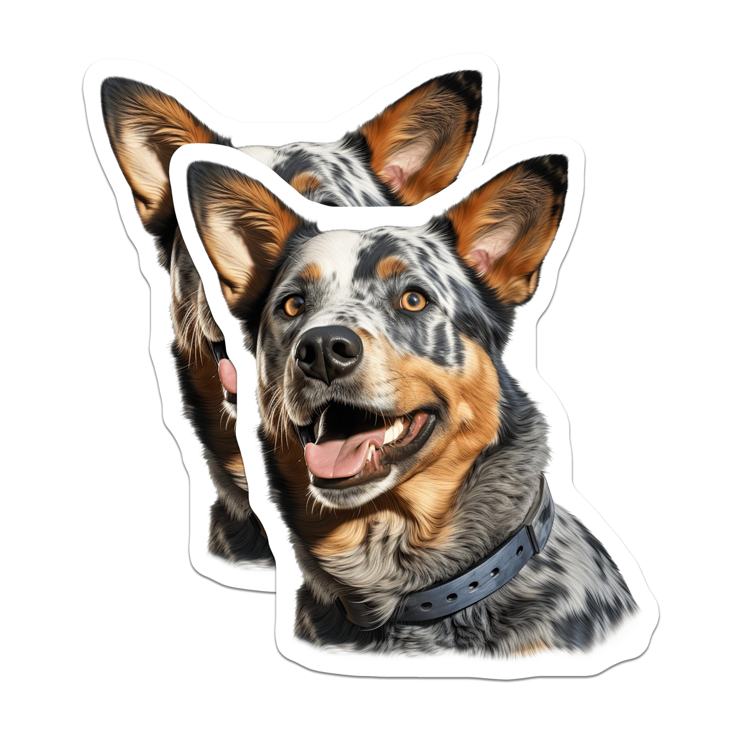 (2 Pack) Blue Heeler Dog Magnets - Australian Cattle Dog Art - Pet Lover Fridge Decor - Farm Ranch Gift - 5 Inches On Longest Side - Thick Durable Magnet - Made in USA - MAG30664