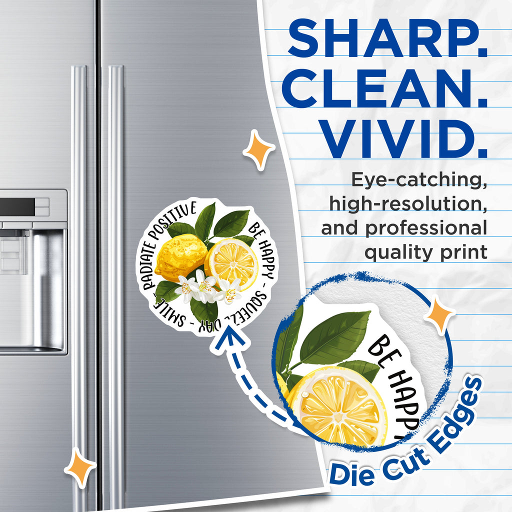 (2 Pack) Positive Lemon Magnets - Happy Quote Refrigerator Decor - Squeeze Day Kitchen Motivation - 5 Inches On Longest Side - Thick Durable Magnet - Made in USA - MAG39182