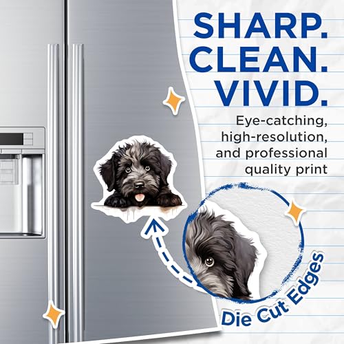 (2 Pack) Kitchen Decor Magnet - Home Organizers - 5" On Longest Side - Sticks to Smooth Flat Surfaces - Made in USA - MAG9885