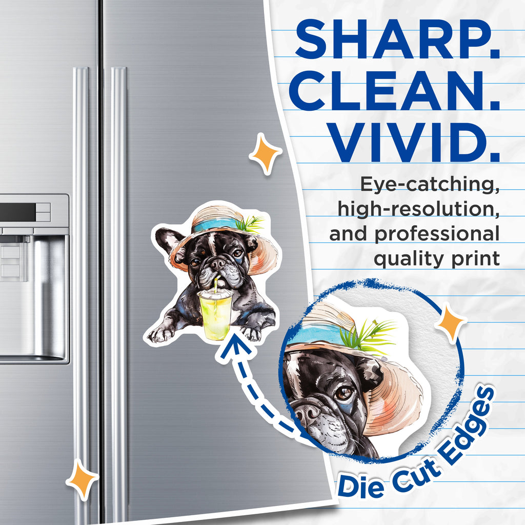 (2 Pack) French Bulldog Summer Magnets - Cute Frenchie Dog Lover - Tropical Pet Art Watercolor Fridge Magnet - 5 Inches On Longest Side - Thick Durable Magnet - Made in USA - MAG39604