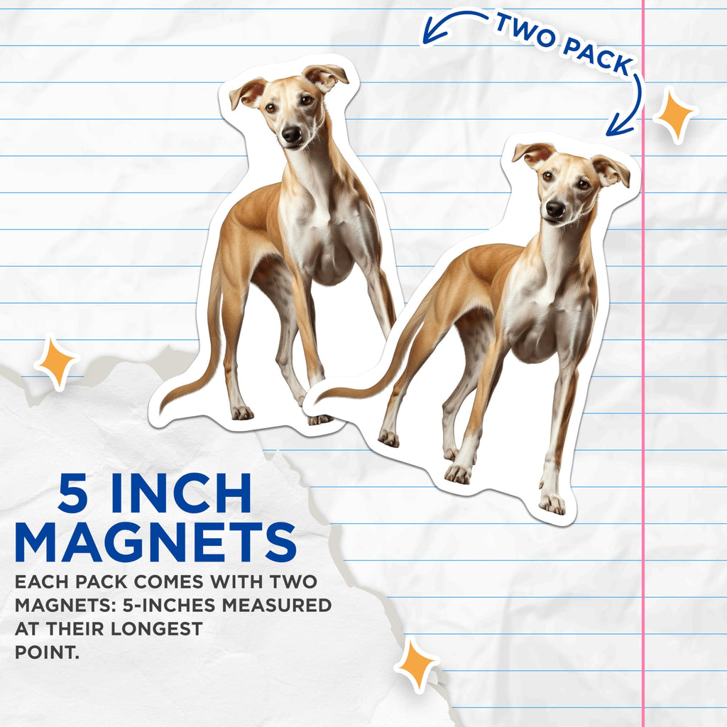 (2 Pack) Whippet Dog Magnets - Sighthound Art - Dog Lover Decor - Pet Parent Present - Animal Enthusiast - 5 Inches On Longest Side - Thick Durable Magnet - Made in USA - MAG30961