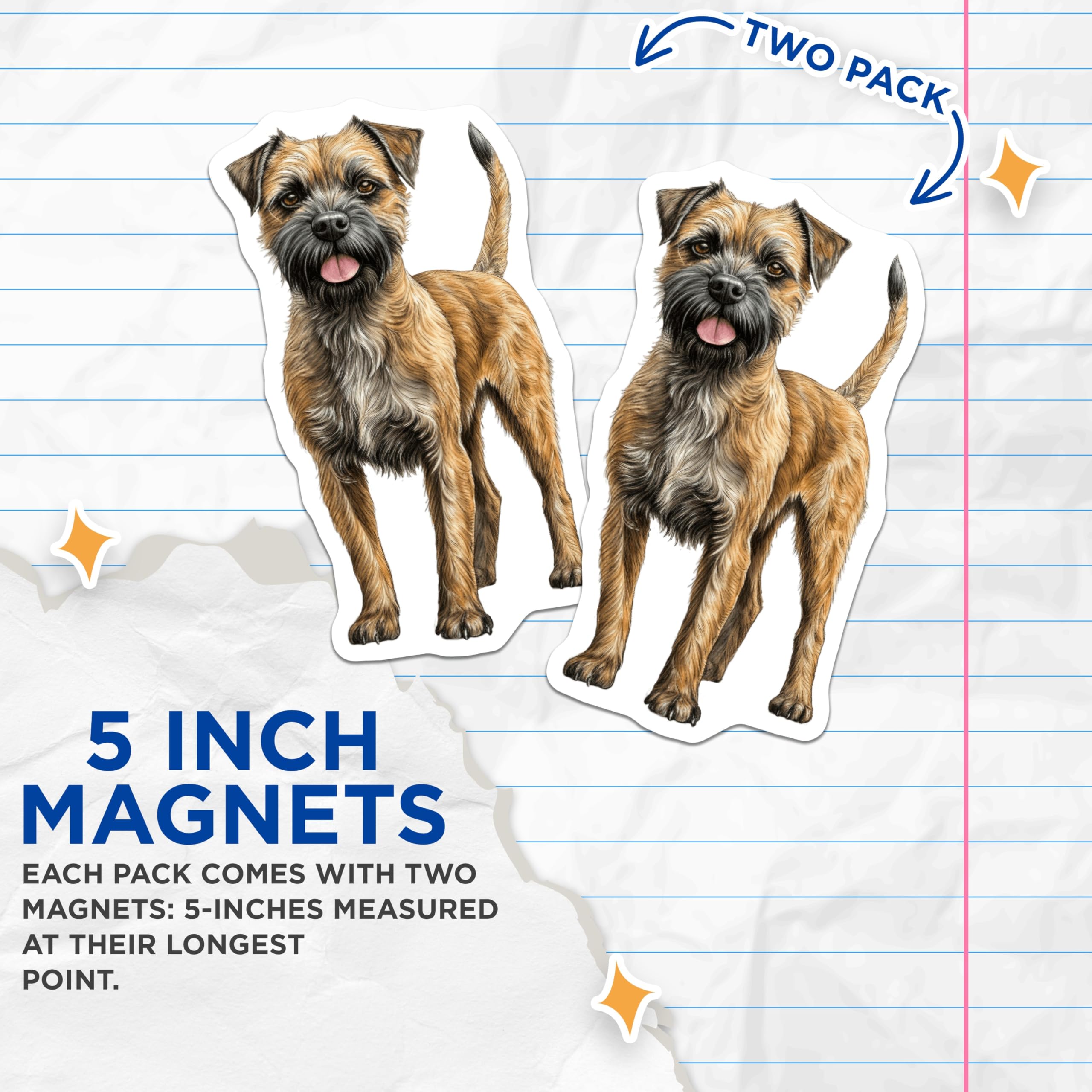 (2 Pack) Border Terrier Magnets - Dog Mom Accessories - Pet Lover Decor - Wire Haired Terrier Art - 5 Inches On Longest Side - Thick Durable Magnet - Made in USA - MAG29820