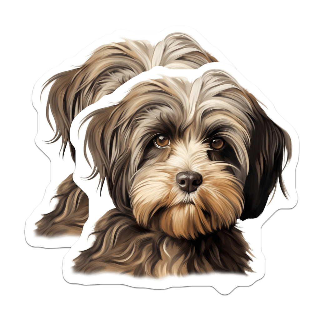 (2 Pack) Fluffy Shaggy Dog Magnets - Pet Art Fridge Decor - Cute Animal Lover Locker Accent - 5 Inches On Longest Side - Thick Durable Magnet - Made in USA - MAG26258