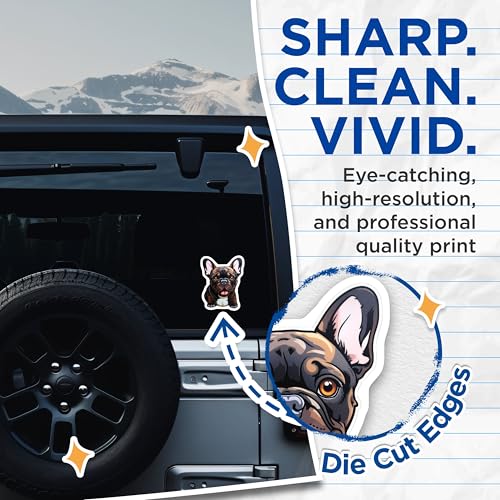 (2 Pack) Cute French Bulldog Stickers - Adorable Dog Decals - Pet Lover Accessories - 5" On Longest Side - Sticks to Smooth Flat Surfaces - Made in USA - BMCS3933