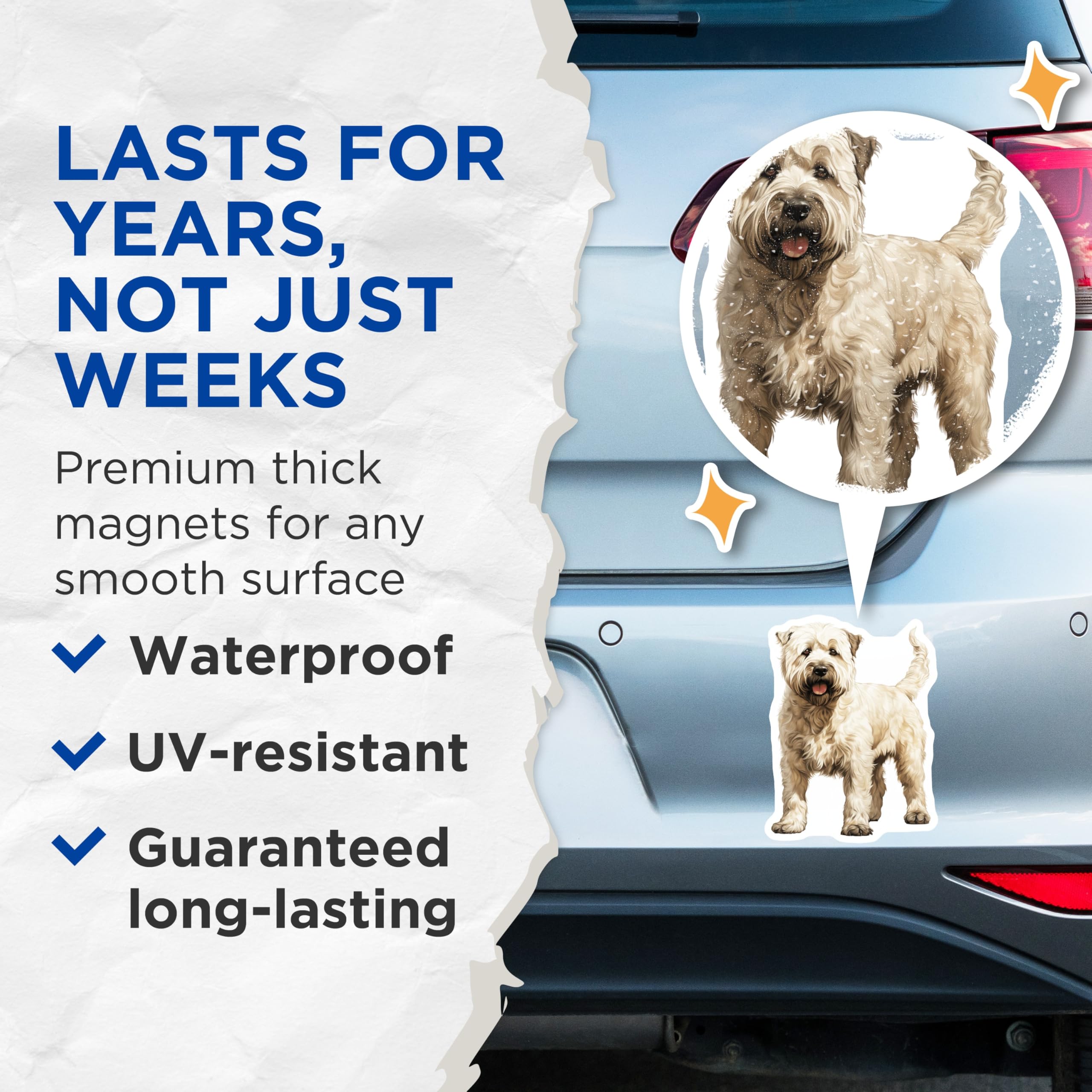 (2 Pack) Soft Coated Wheaten Terrier Magnets - Dog Lover Kitchen Decor - Pet Parent Refrigerator Magnet Set - 5 Inches On Longest Side - Thick Durable Magnet - Made in USA - MAG28784
