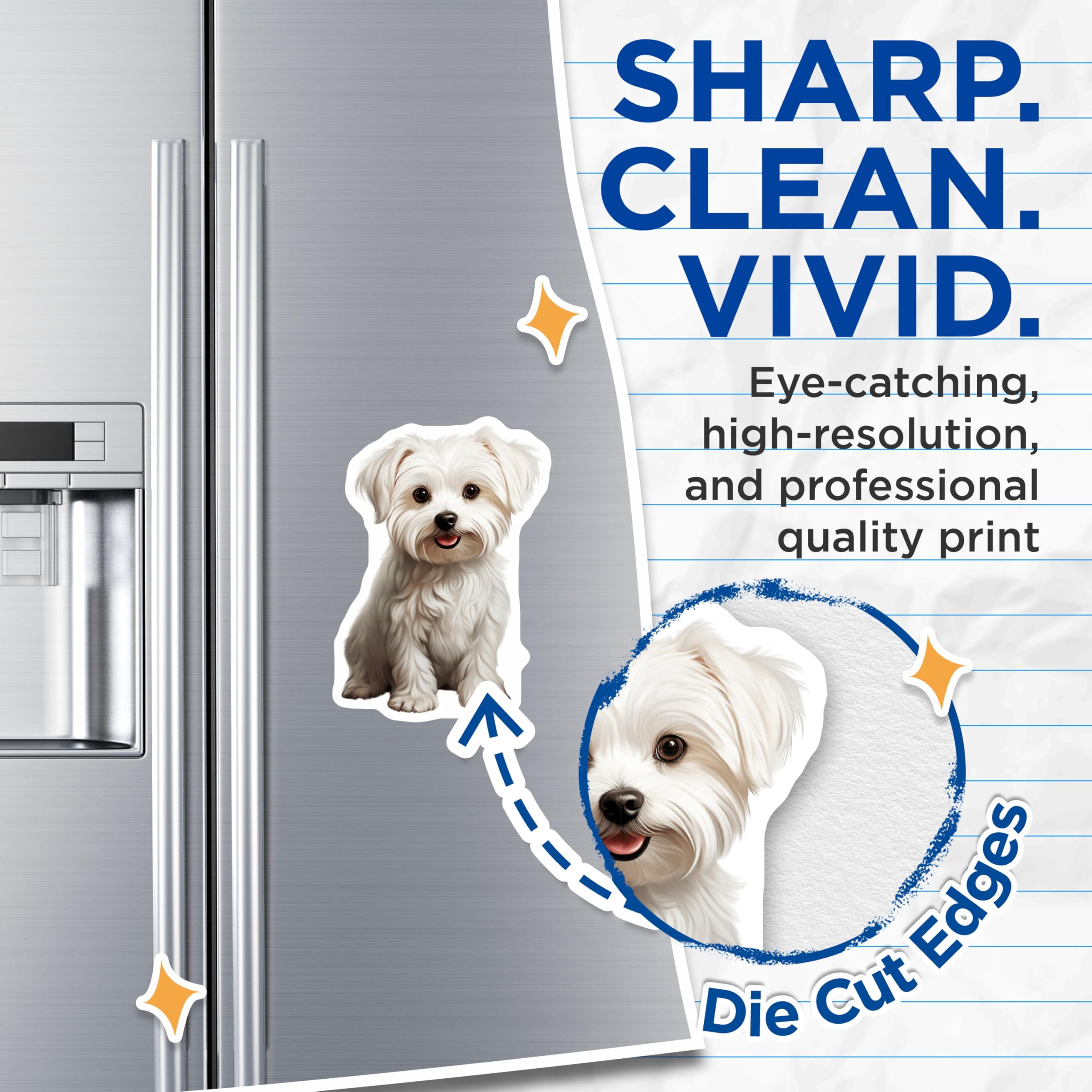 (2 Pack) Maltese Dog Magnets - Cute Puppy Fridge Decor - Dog Mom Pet Accessory - 5 Inches On Longest Side - Thick Durable Magnet - Made in USA - MAG27785
