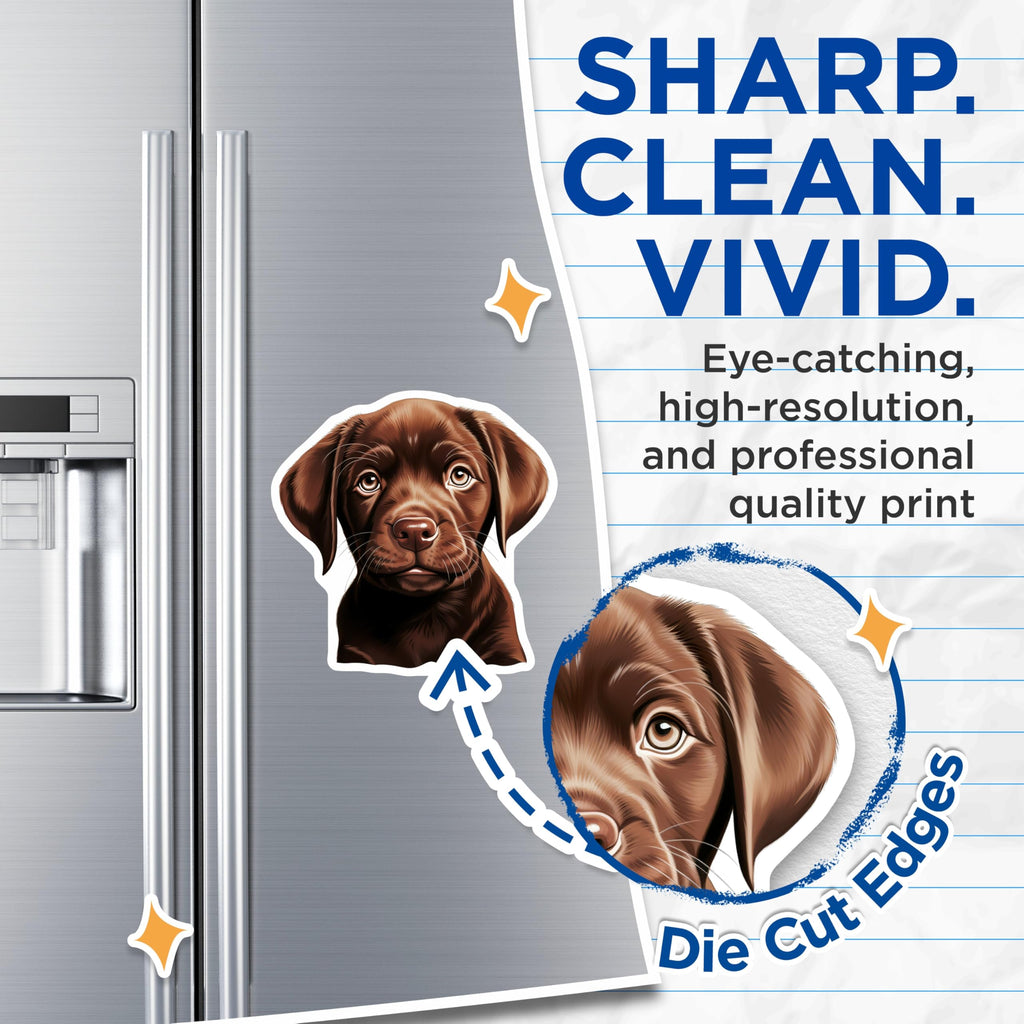(2 Pack) Chocolate Lab Puppy Magnets - Dog Mom Refrigerator Accessory - Pet Lover Kitchen Decor - Cute Animal Art - 5 Inches On Longest Side - Thick Durable Magnet - Made in USA - MAG30243