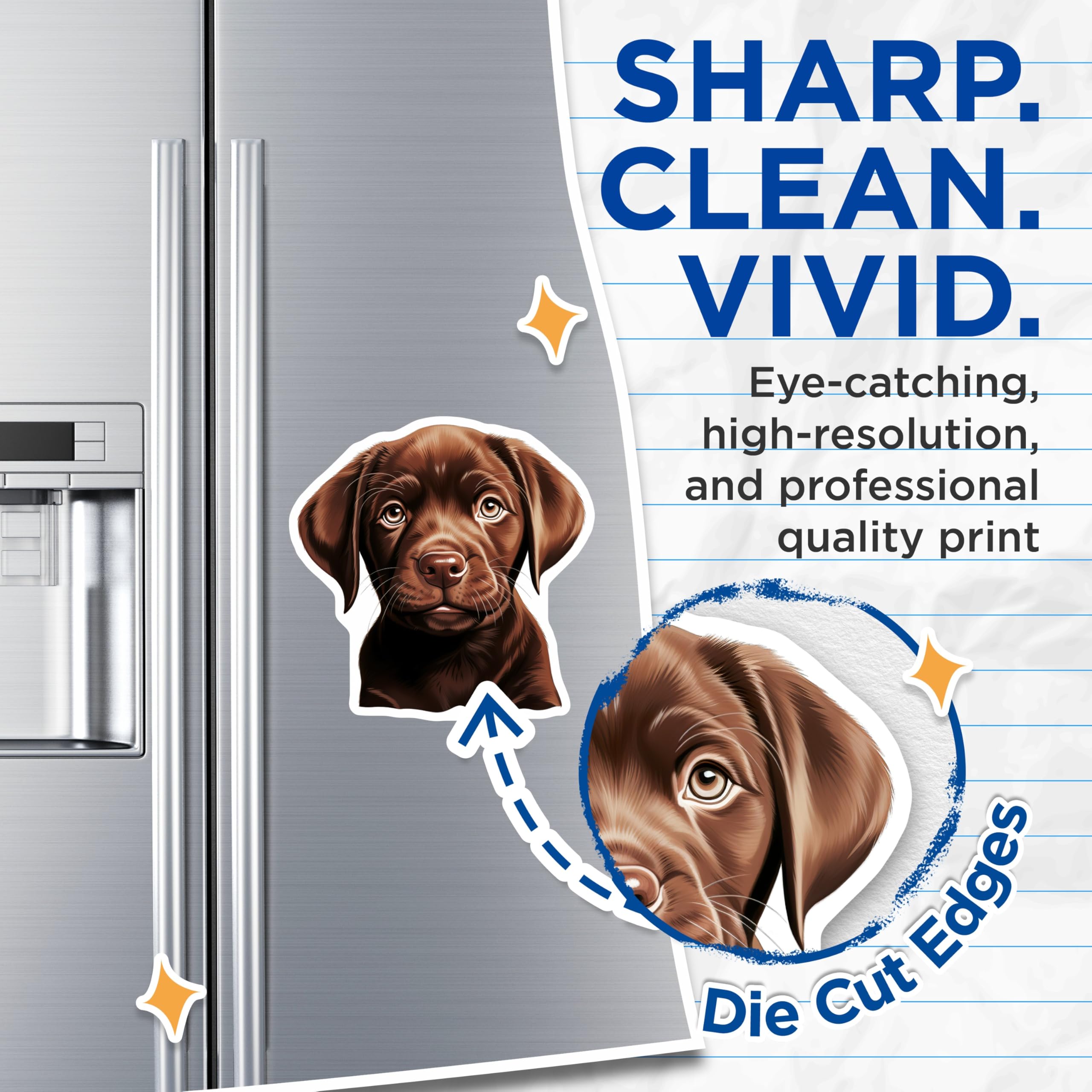 (2 Pack) Chocolate Lab Puppy Magnets - Dog Mom Refrigerator Accessory - Pet Lover Kitchen Decor - Cute Animal Art - 5 Inches On Longest Side - Thick Durable Magnet - Made in USA - MAG30243