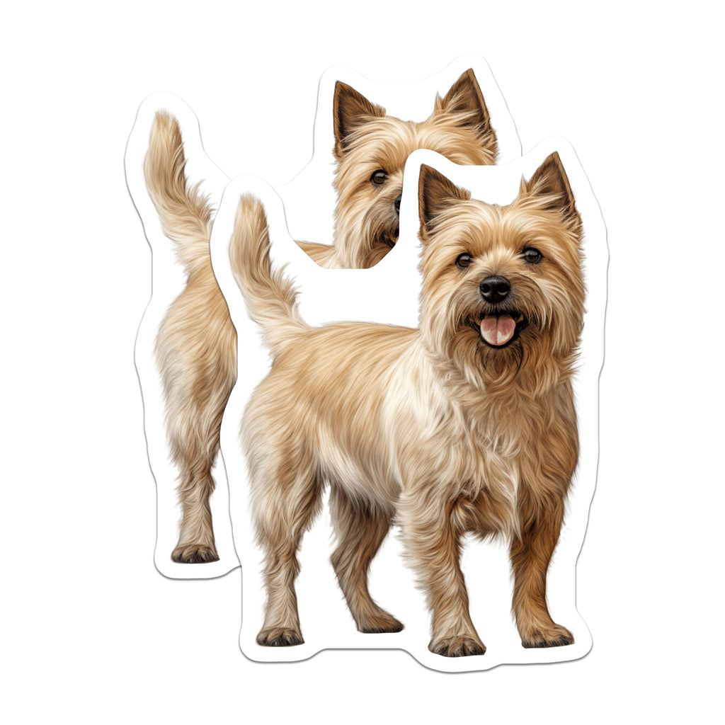 (2 Pack) Cairn Terrier Magnets - Adorable Dog Illustration Decor - Pet Owner Collectibles for Fridge - 5 Inches On Longest Side - Thick Durable Magnet - Made in USA - MAG24034
