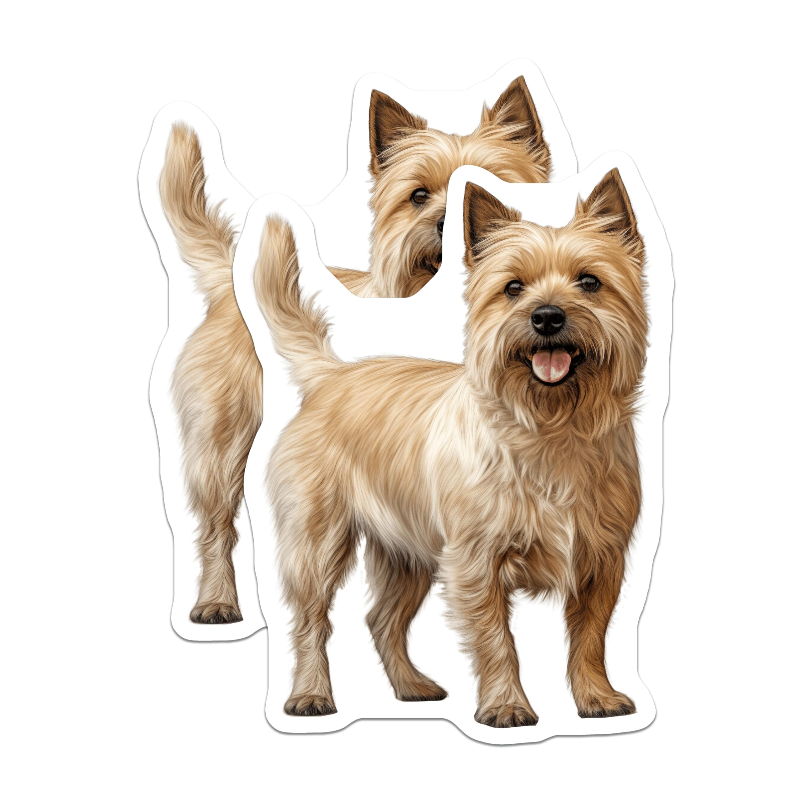 (2 Pack) Cairn Terrier Magnets - Adorable Dog Illustration Decor - Pet Owner Collectibles for Fridge - 5 Inches On Longest Side - Thick Durable Magnet - Made in USA - MAG24034