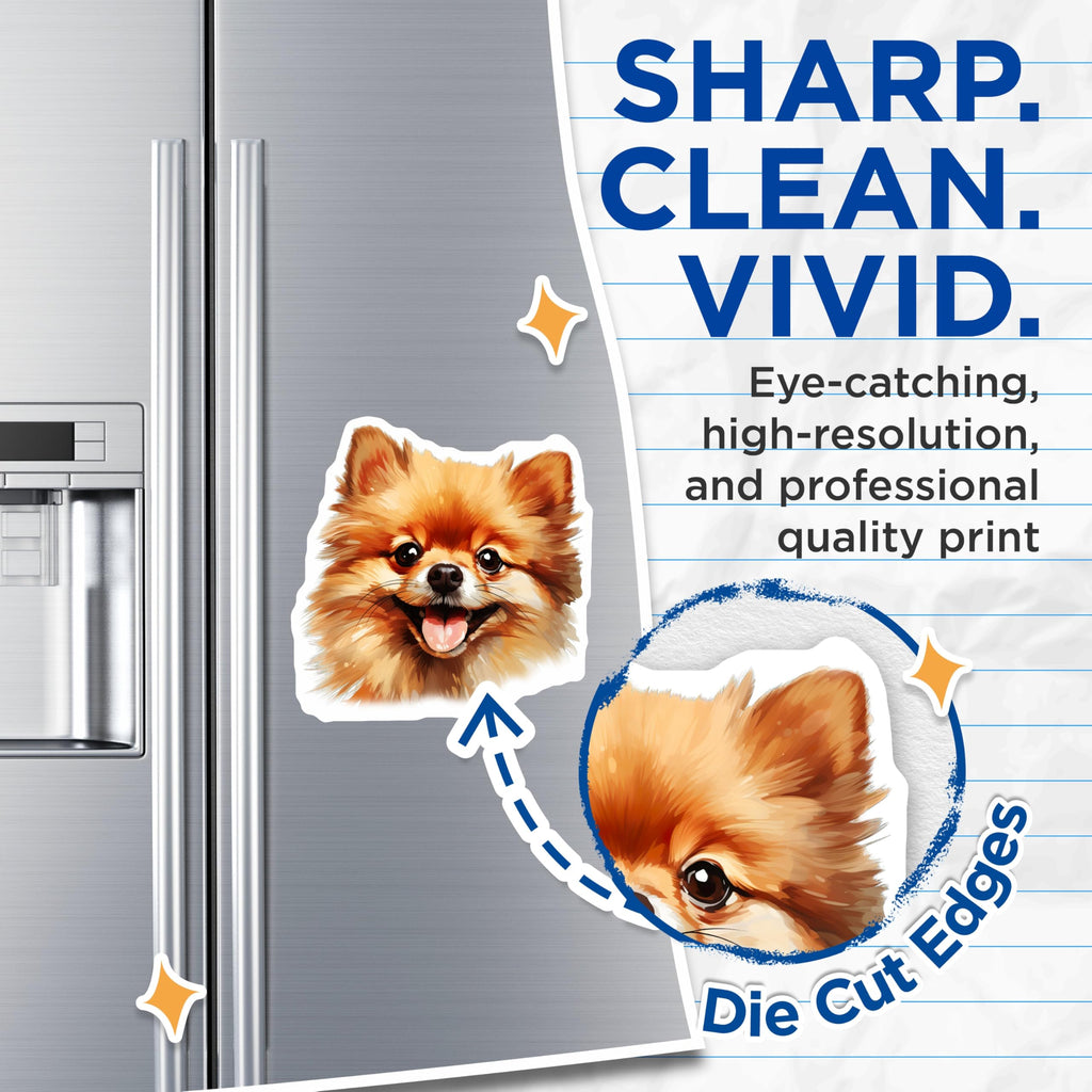 (2 Pack) Pomeranian Dog Magnets - Smiling Pomeranian Art - Fluffy Pet Lover Decor - Adorable Canine Items - 5 Inches On Longest Side - Thick Durable Magnet - Made in USA - MAG24011