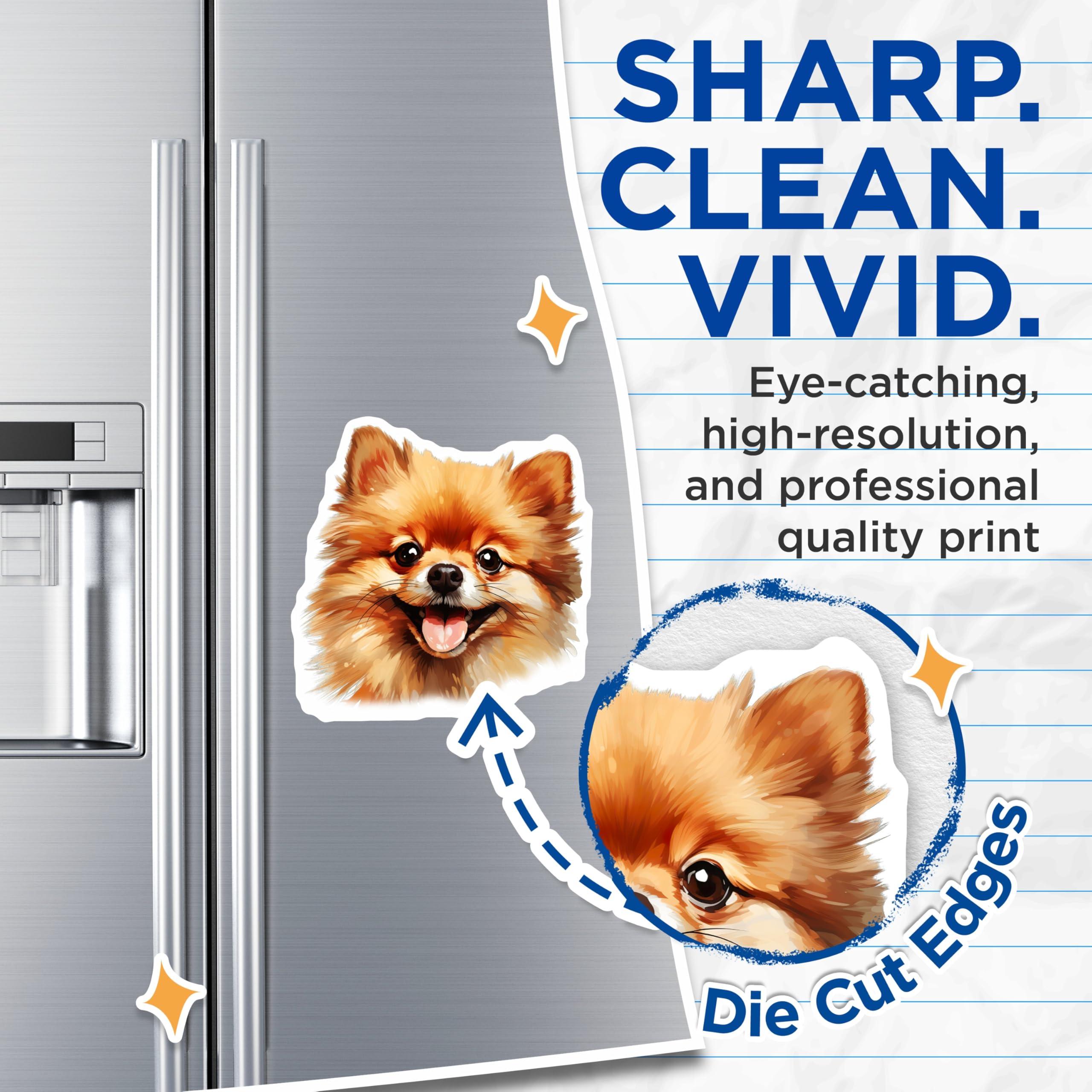 (2 Pack) Pomeranian Dog Magnets - Smiling Pomeranian Art - Fluffy Pet Lover Decor - Adorable Canine Items - 5 Inches On Longest Side - Thick Durable Magnet - Made in USA - MAG24011