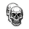 (2 Pack) Skull Magnets - Gothic Decor - Dark Art Magnet Set - Macabre Kitchen Accessories - Halloween Fridge Magnet - 5 Inches On Longest Side - Thick Durable Magnet - Made in USA - MAG36136