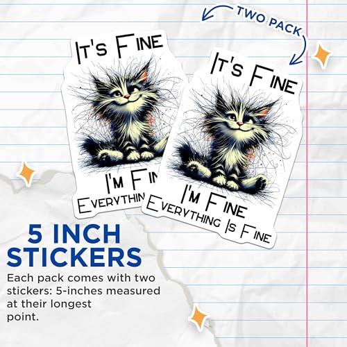 (2 Pack) Funny Cat Meme Stickers - Cute Cat Affirmation Stickers - Humorous Positive Cat Stickers - 5" On Longest Side - Sticks to Any Smooth Flat Surface - Made in USA - BMCS3365
