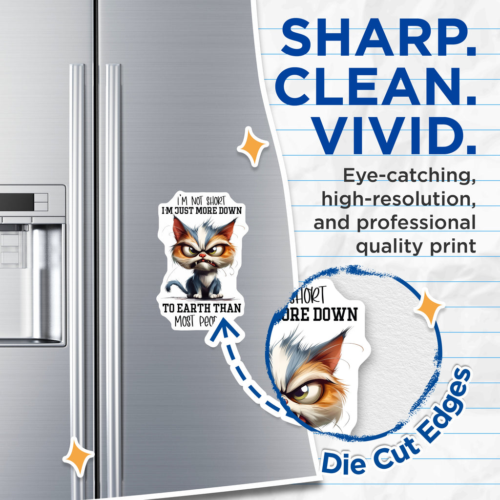 (2 Pack) Grumpy Cat Magnets - Sarcastic Humor Fridge Magnet - Not Short Quote Magnet for Cat Lovers - 5 Inches On Longest Side - Thick Durable Magnet - Made in USA - MAG38070