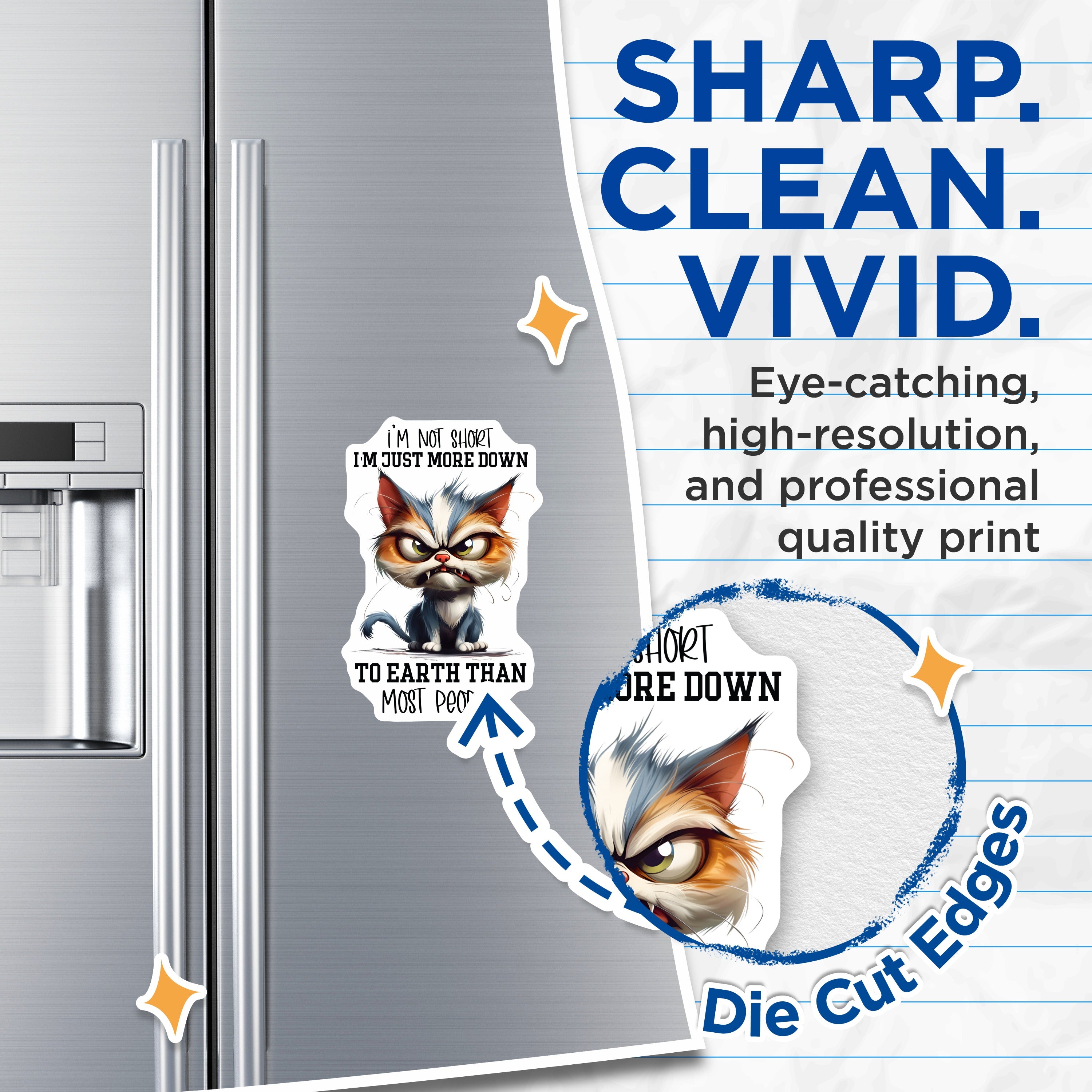 (2 Pack) Grumpy Cat Magnets - Sarcastic Humor Fridge Magnet - Not Short Quote Magnet for Cat Lovers - 5 Inches On Longest Side - Thick Durable Magnet - Made in USA - MAG38070