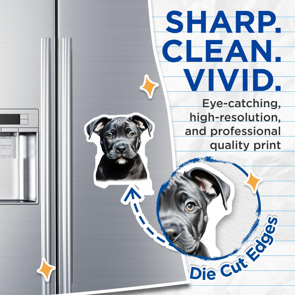 (2 Pack) Black Pitbull Puppy Magnets - Staffy Dog Lover Decor - Pet Owner Refrigerator Home Accent - 5 Inches On Longest Side - Thick Durable Magnet - Made in USA - MAG30574