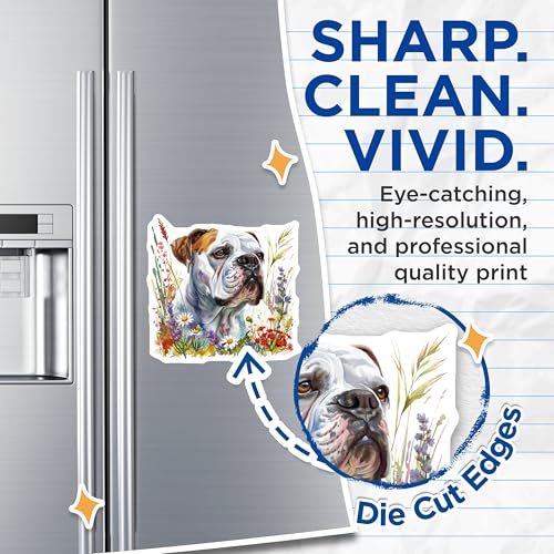 (2 Pack) Bulldog Flower Garden Magnets - Pet Lover - Colorful Dog Art - 5" On Longest Side - for Cars, Fridges, Toolboxes - Made in USA - MAG6580