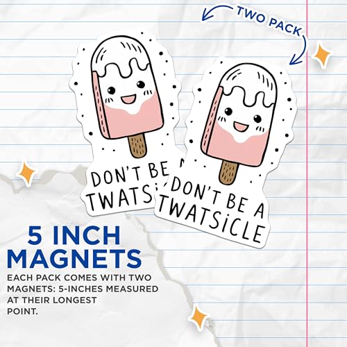 (2 Pack) Funny Inspirational Magnets Magnets - Ice Cream Popsicle Quote - Kitchen Decor - 5" On Longest Side - Made in USA - Sticks to Refrigerators & Metal Surfaces - MAG8675