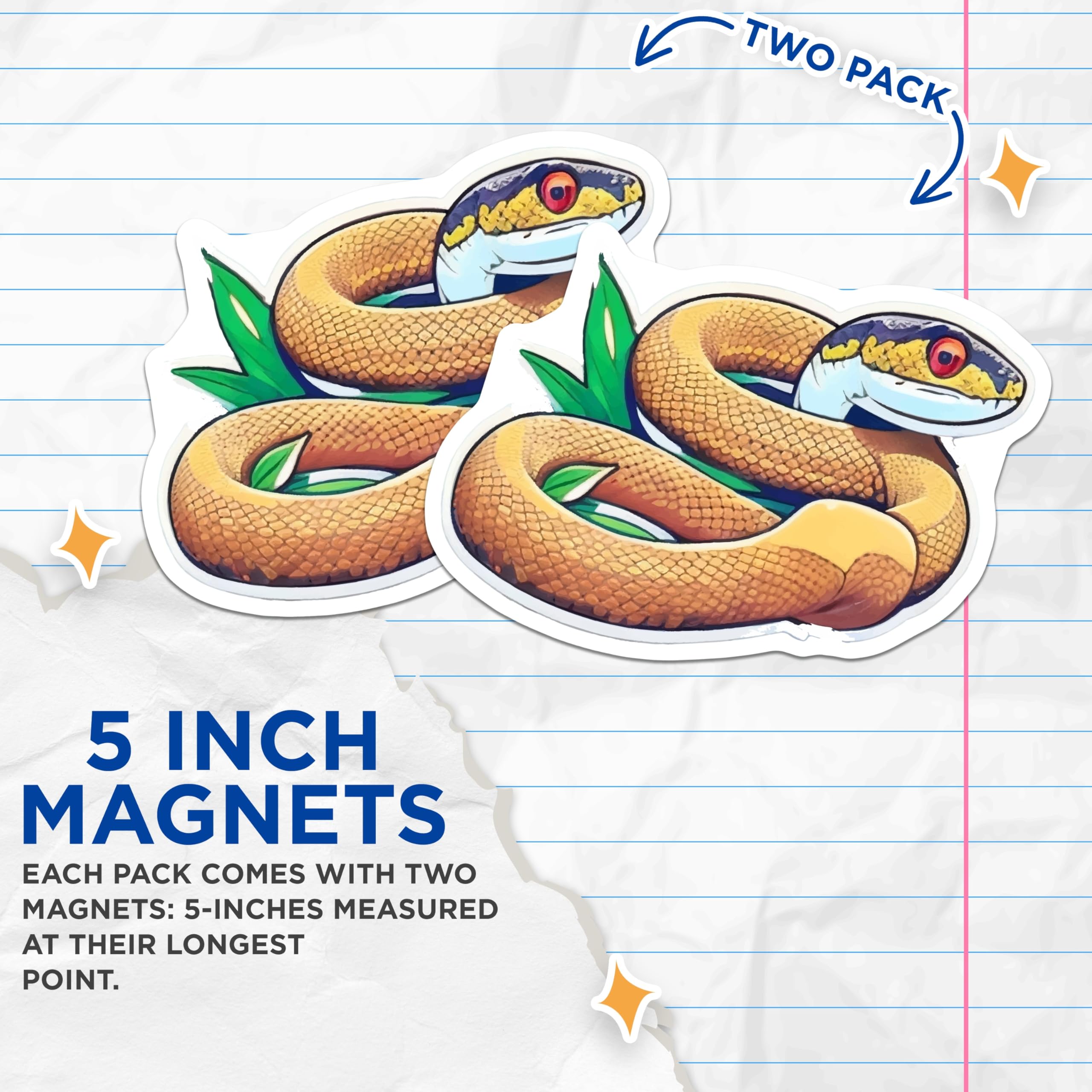 (2 Pack) Ball Python Snake Magnets - Cute Coiled Serpent Art Decor - Reptile Lover Kitchen Locker Fridge Accessory - 5 Inches On Longest Side - Thick Durable Magnet - Made in USA - MAG21538