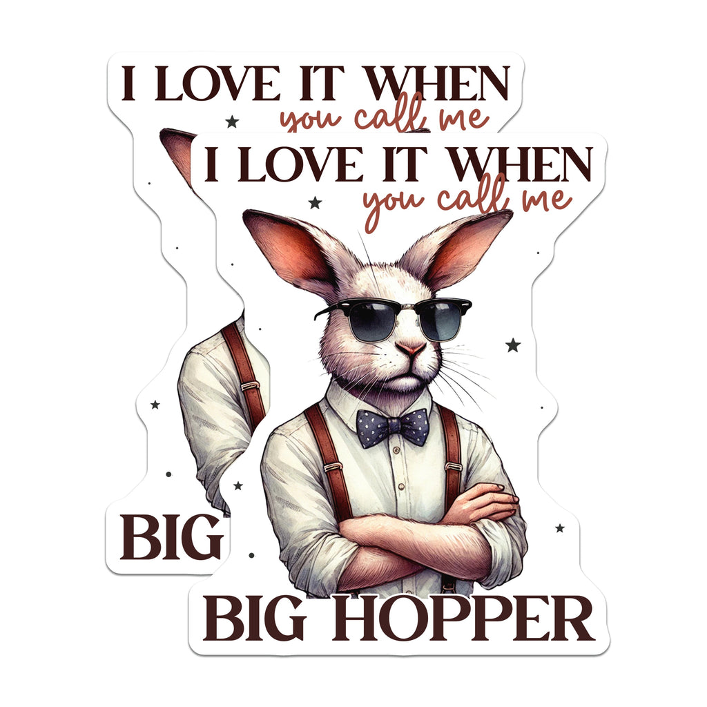 (2 Pack) Funny Rabbit Magnets - Big Hopper Bunny Decor - Quirky Animal Fridge Magnet - Humorous Pet Lover Item - 5 Inches On Longest Side - Thick Durable Magnet - Made in USA - MAG38746