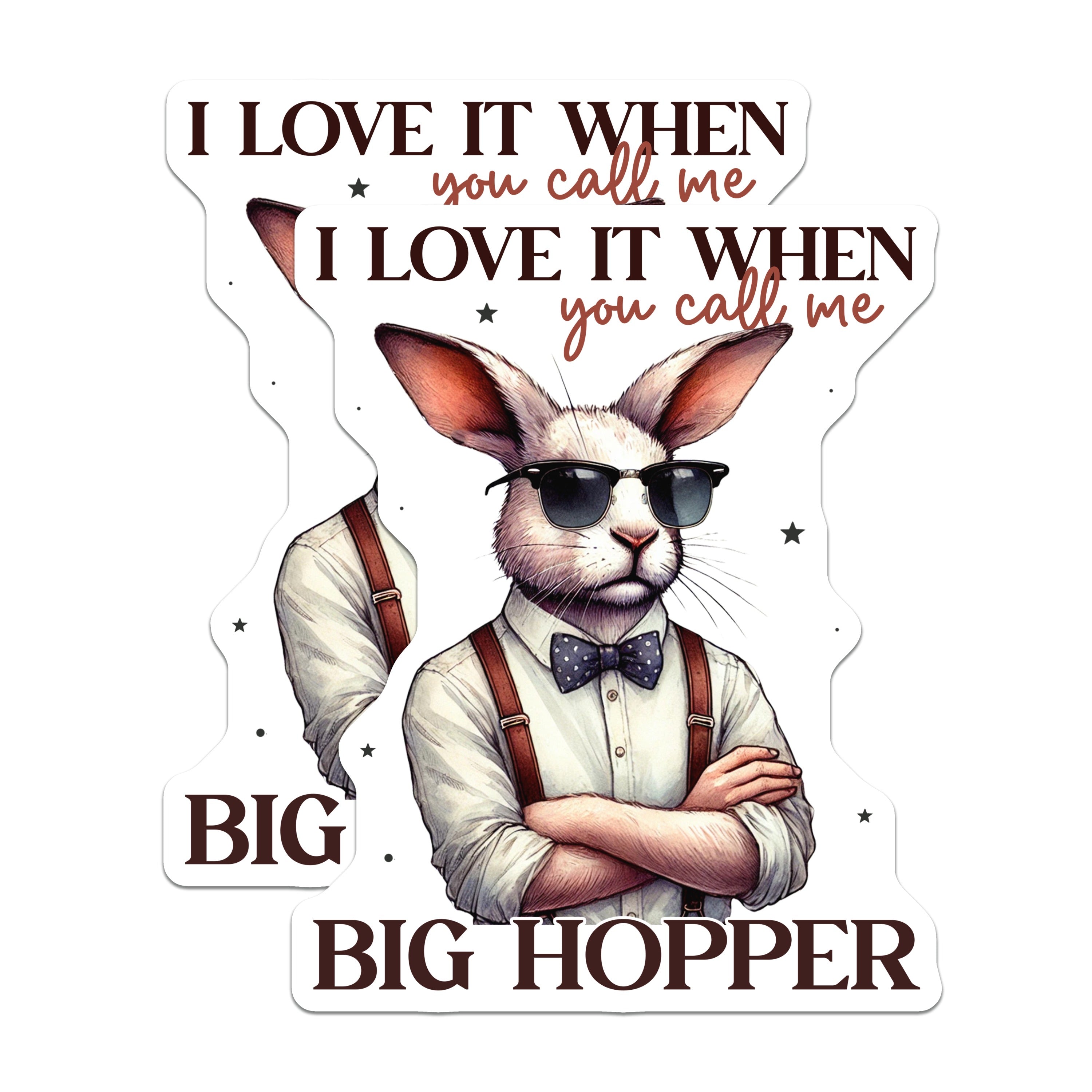 (2 Pack) Funny Rabbit Magnets - Big Hopper Bunny Decor - Quirky Animal Fridge Magnet - Humorous Pet Lover Item - 5 Inches On Longest Side - Thick Durable Magnet - Made in USA - MAG38746