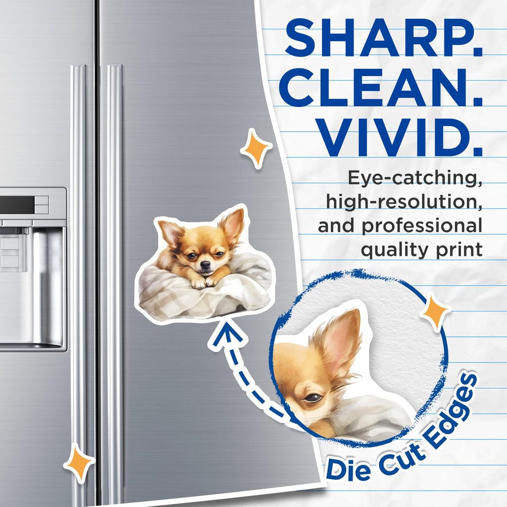 (2 Pack) Chihuahua Magnets - Cute Dog Breed - Fridge Decor - 5" On Longest Side - Premium Magnet - for Cars, Refrigerators, Toolboxes, Lockers - Made in USA - MAG16871