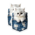 (2 Pack) Kitten in Pocket Magnets - Cute Cat Decor - Refrigerator Magnets - 5" On Longest Side - Premium Magnet - for Cars, Refrigerators, Toolboxes, Lockers - Made in USA - MAG15360