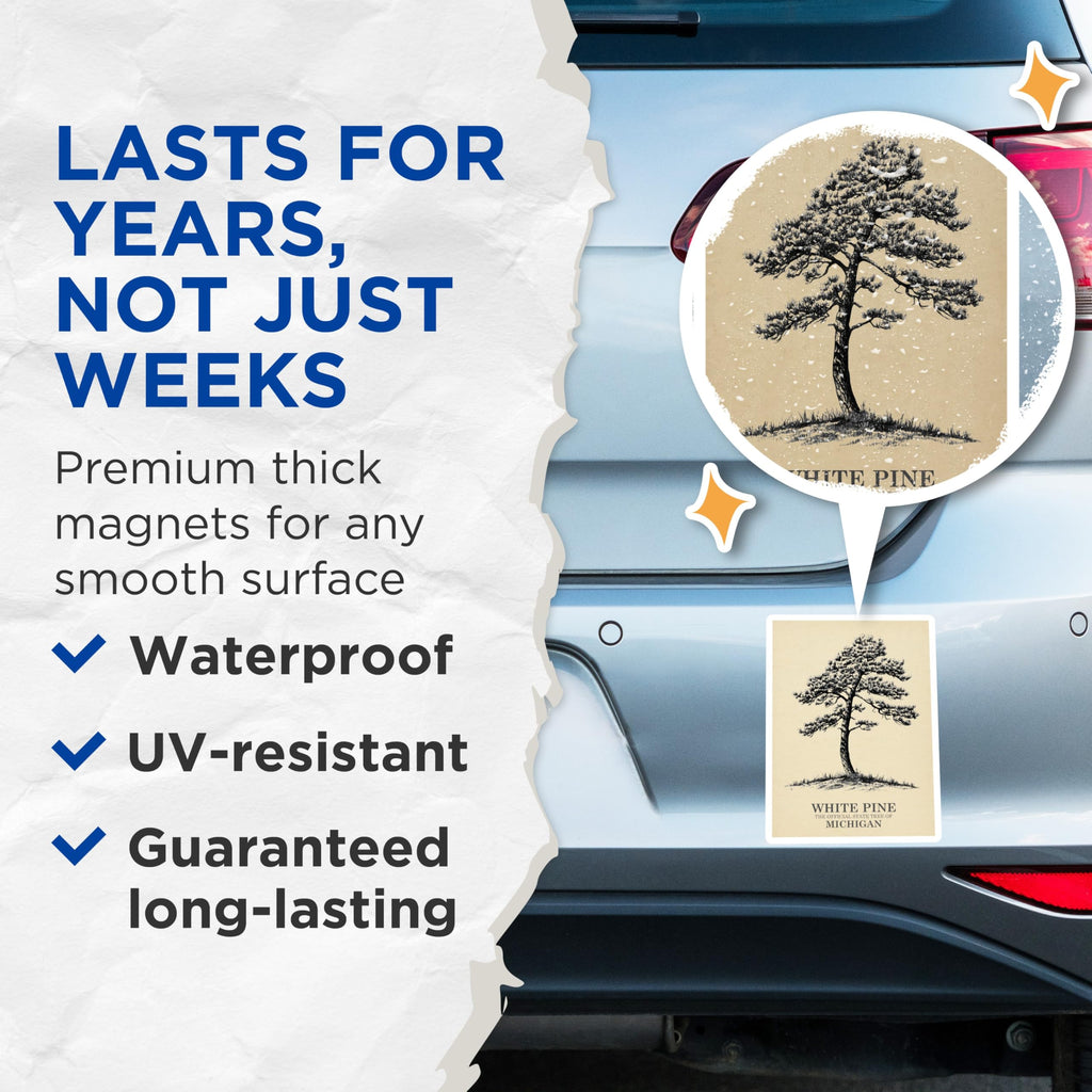 (2 Pack) White Pine Magnets - Michigan State Tree Art - Nature Lover Refrigerator Decor - 5" On Longest Side - Premium Magnet - for Cars, Refrigerators, Toolboxes, Lockers - Made in USA - MAG17579