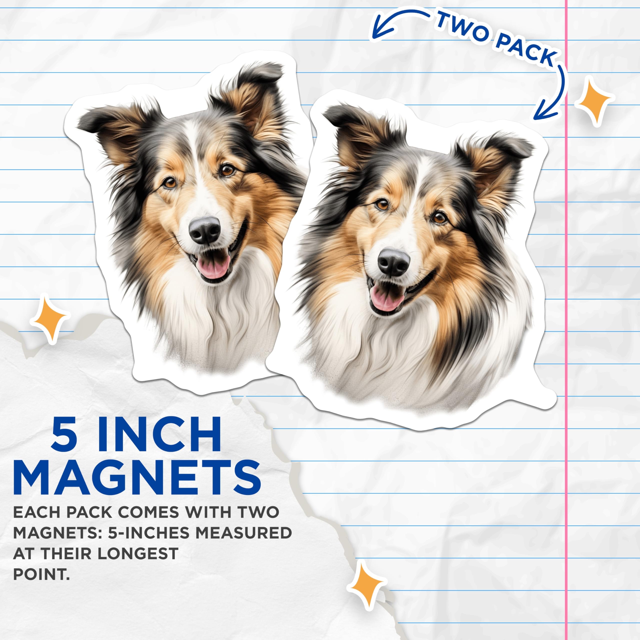 (2 Pack) Shetland Sheepdog Magnets - Rough Collie Art - Happy Dog Lover Decor - 5 Inches On Longest Side - Thick Durable Magnet - Made in USA - MAG28640