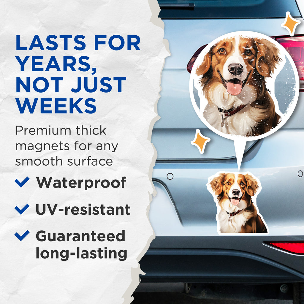 (2 Pack) Happy Dog Magnets - Smiling Aussie Collie Art - Pet Lover Refrigerator Decor - 5 Inches On Longest Side - Thick Durable Magnet - Made in USA - MAG38321