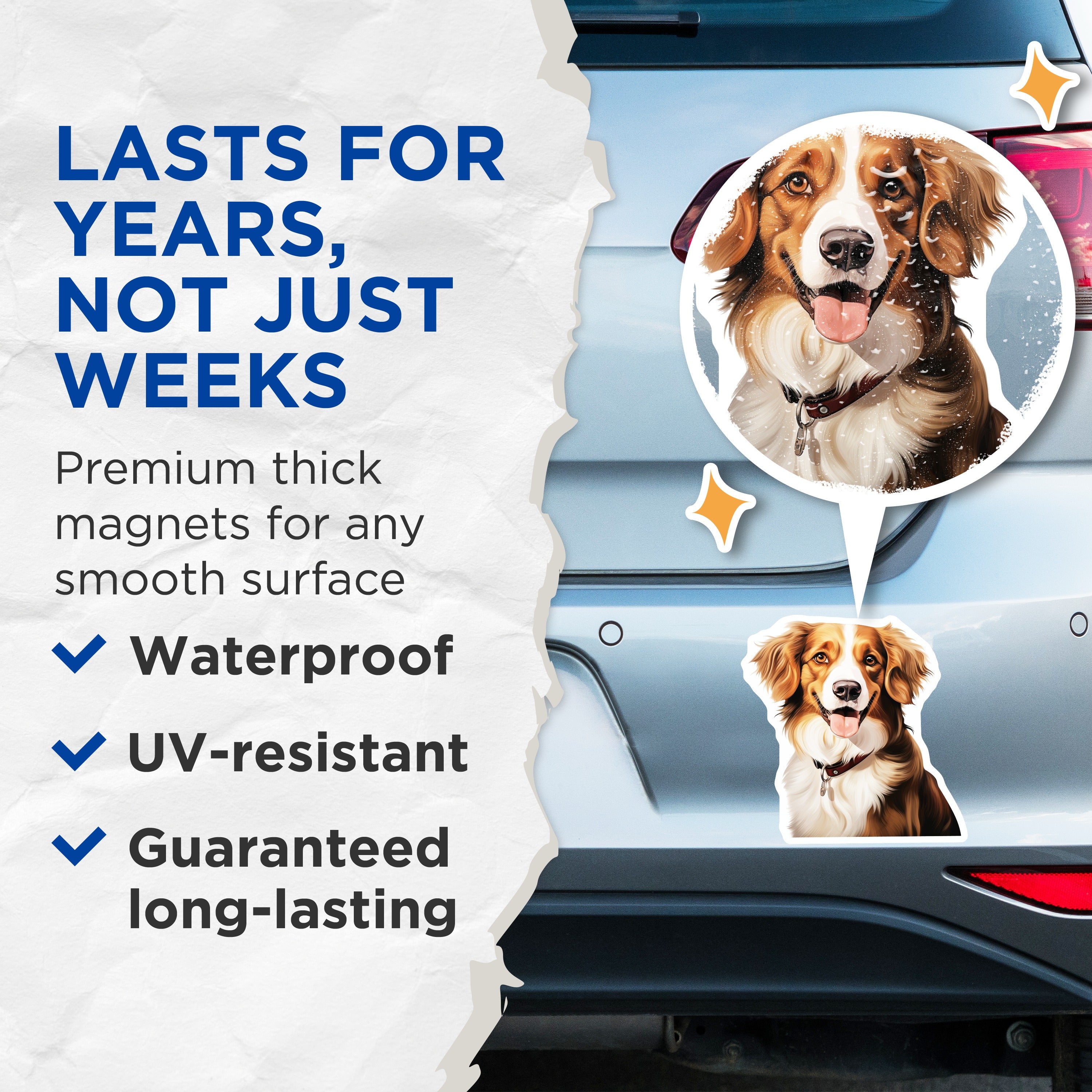 (2 Pack) Happy Dog Magnets - Smiling Aussie Collie Art - Pet Lover Refrigerator Decor - 5 Inches On Longest Side - Thick Durable Magnet - Made in USA - MAG38321