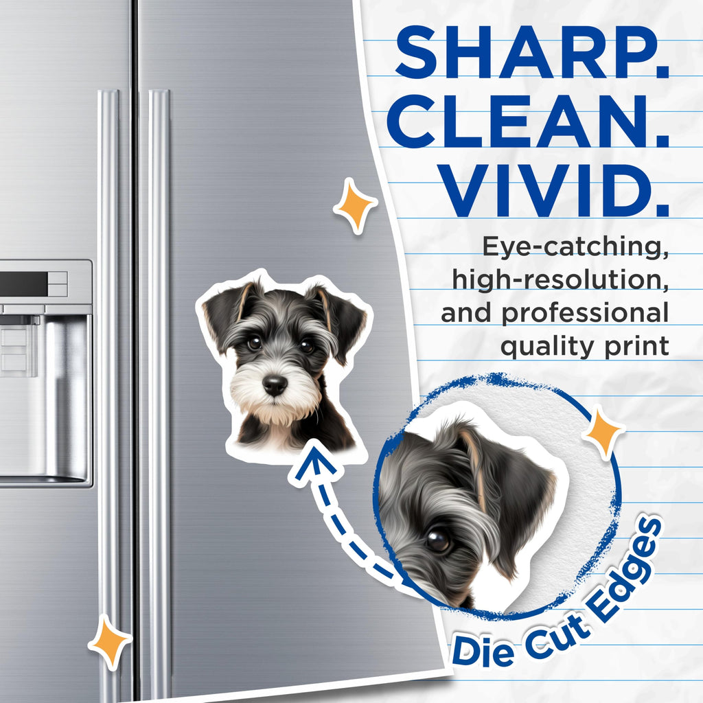 (2 Pack) Miniature Schnauzer Magnets - Cute Puppy Decor - Dog Lover Collectibles - 5 Inches On Longest Side - Thick Durable Magnet - Made in USA - MAG23721