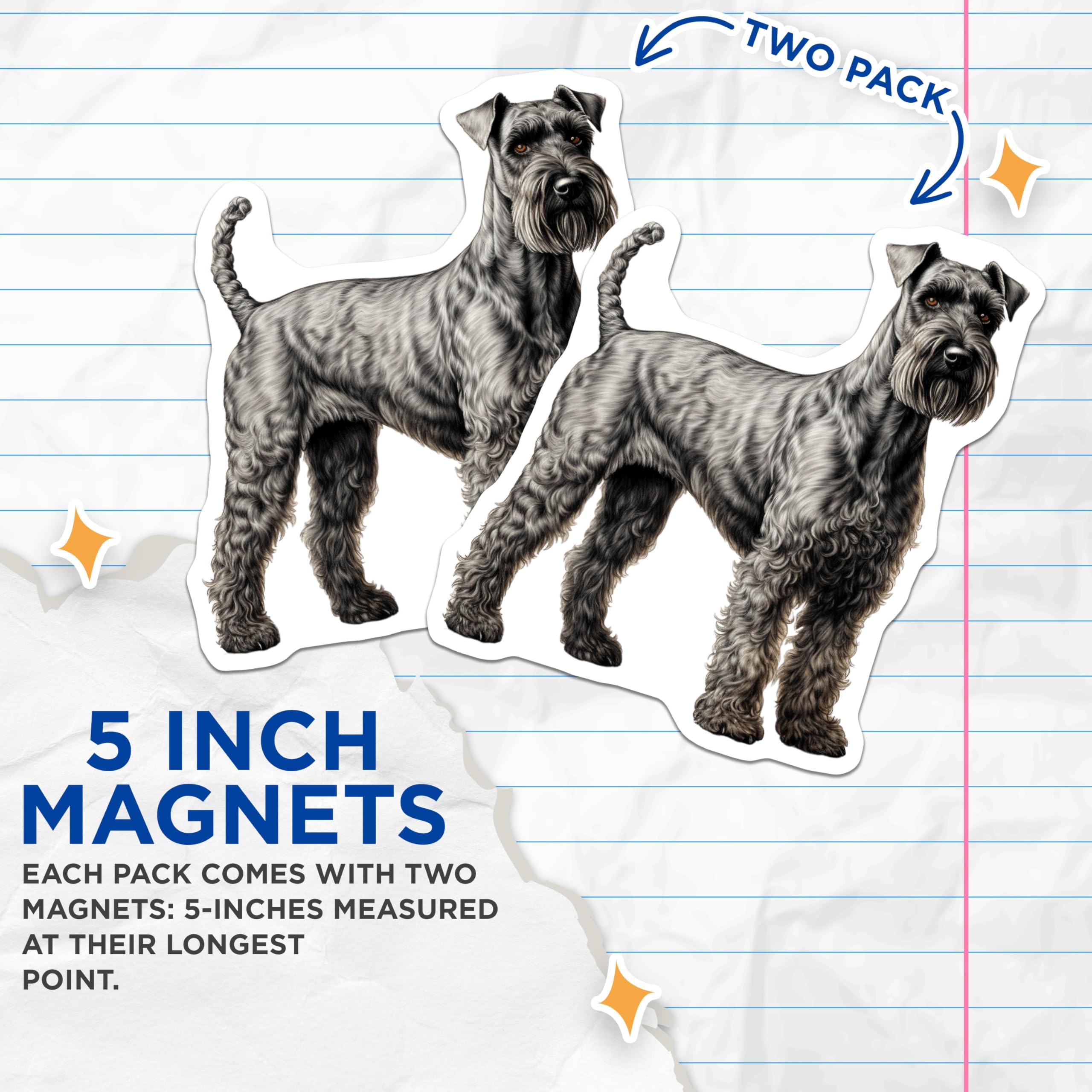 (2 Pack) Schnauzer Magnets - Dog Breed Lover Decor - Pet Owner Kitchen Accessory - 5 Inches On Longest Side - Thick Durable Magnet - Made in USA - MAG25598