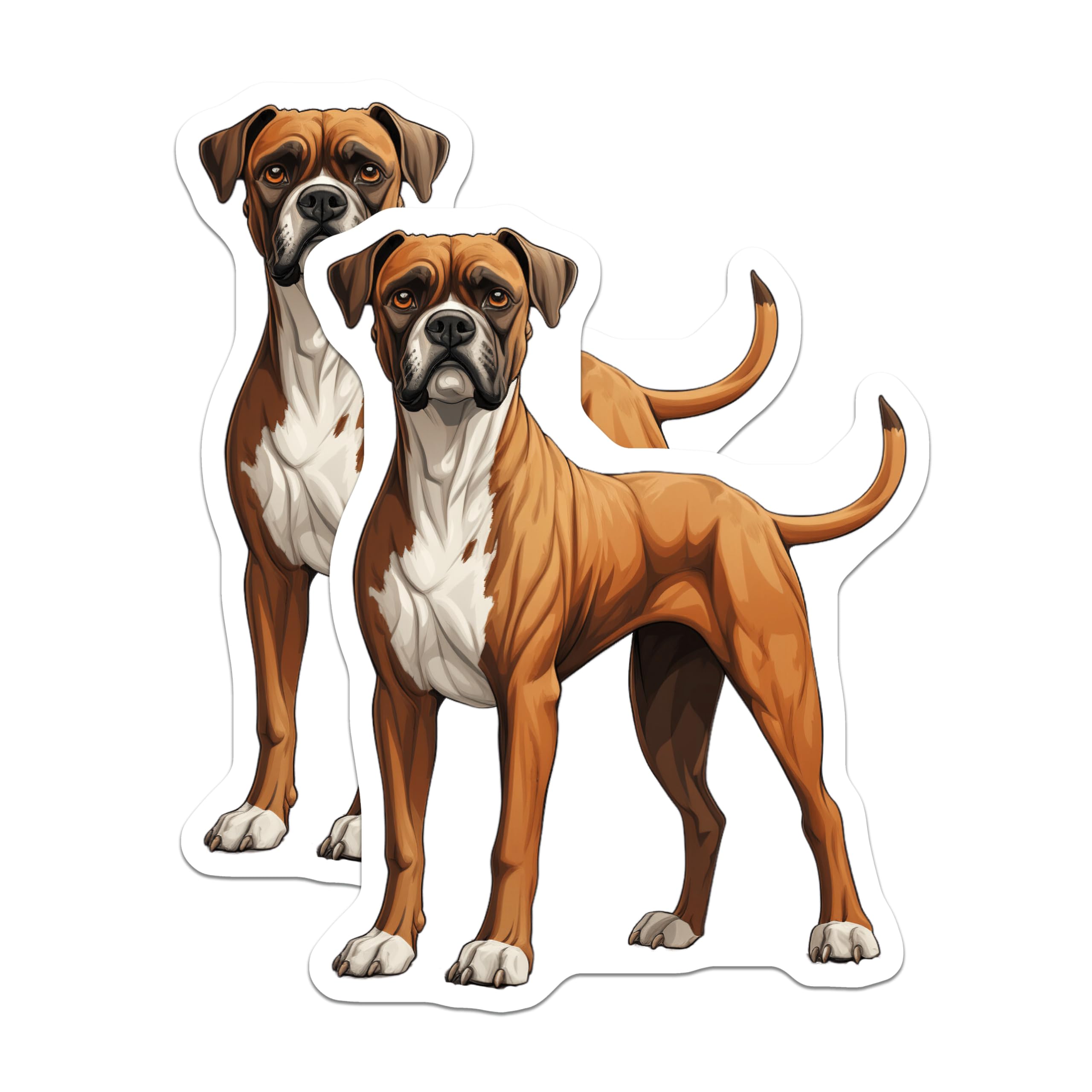 (2 Pack) Boxer Dog Magnets - Fawn Boxer Dog Decor - Canine Pet Owner Refrigerator Magnets - 5 Inches On Longest Side - Thick Durable Magnet - Made in USA - MAG29702