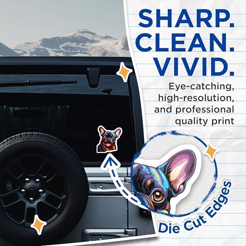 (2 Pack) Colorful French Bulldog Stickers - Cute Dog Stickers - Animal Lover Decals - 5" On Longest Side - Sticks to Smooth Flat Surfaces - Made in USA - BMCS3948
