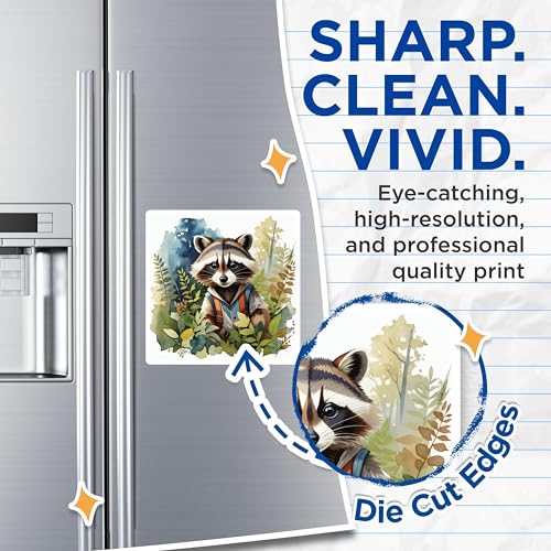 (2 Pack) Cute Raccoon Magnets Magnets - Animal Magnet - Forest Friends Magnet - 5" On Longest Side - Made in USA - Sticks to Refrigerators & Metal Surfaces - MAG8706