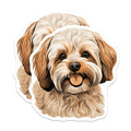 (2 Pack) Havanese Dog Magnets - Dog Mom Fridge Decor - Pet Owner Home Accessory - Animal Lover Kitchen Display - 5 Inches On Longest Side - Thick Durable Magnet - Made in USA - MAG28579